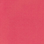262 - Roz coral